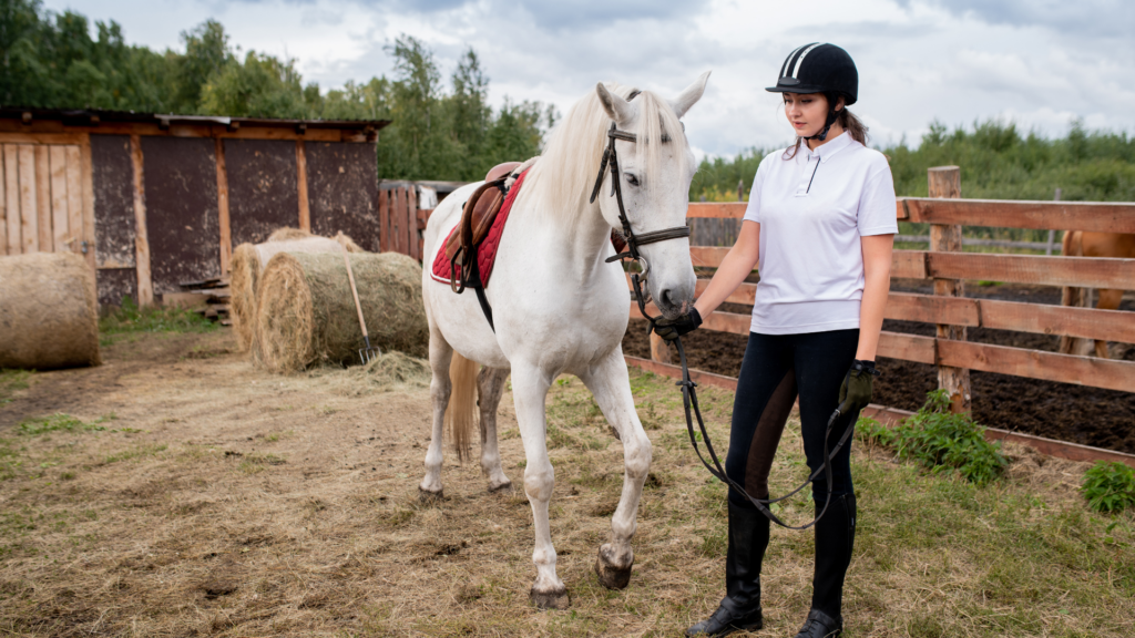 A Guide to Ranch and Equestrian Property Living in Southern California