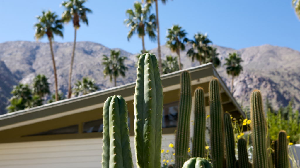 Desert and Mountain Property Living in Southern California