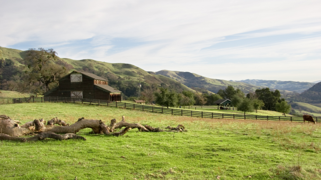 A Guide to Ranch and Equestrian Property Living in Southern California