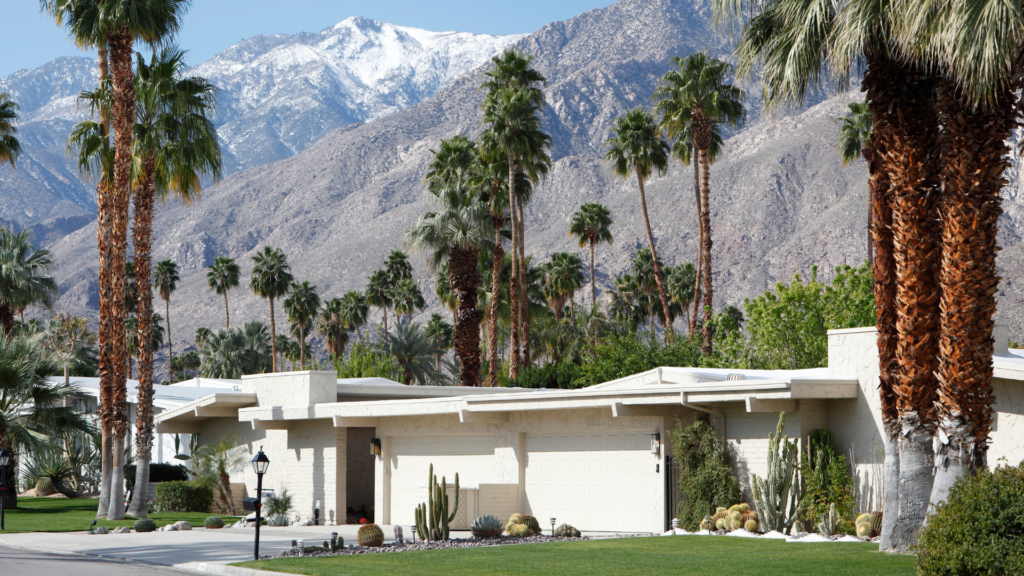 Mid-Century Modern Living