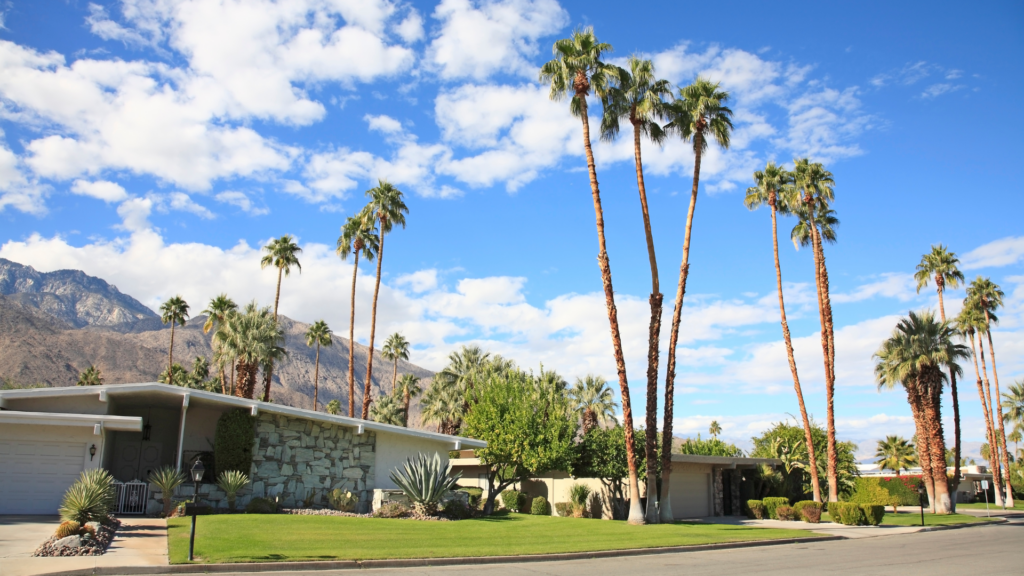 Mid-Century Modern Living