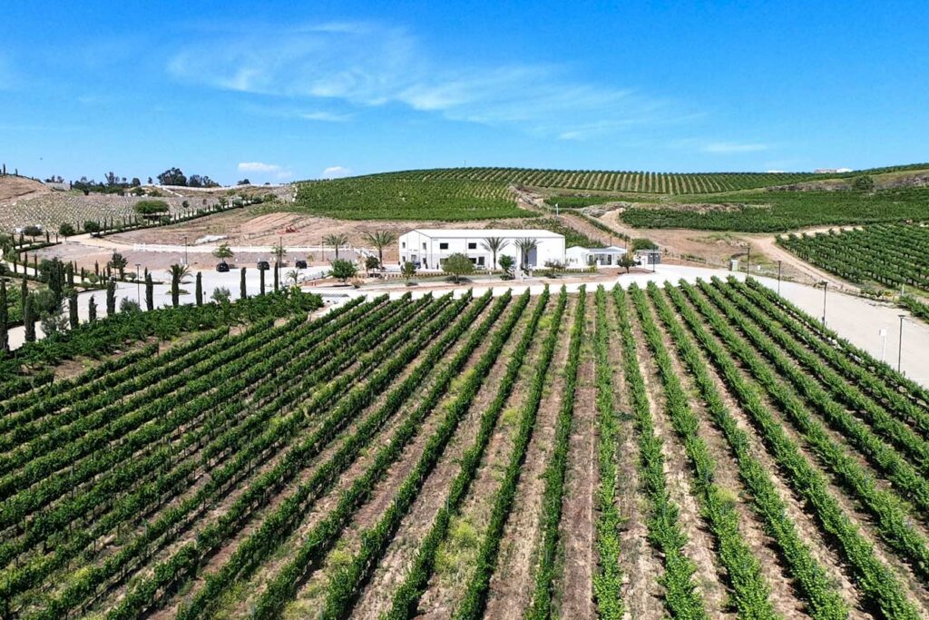 Owning Vineyard Estates in Temecula Valley
