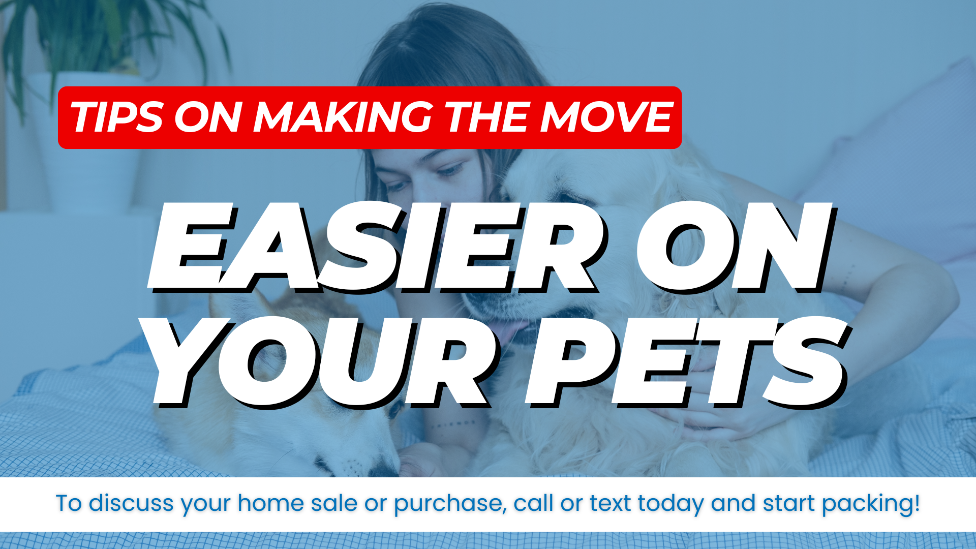Pets and Moving