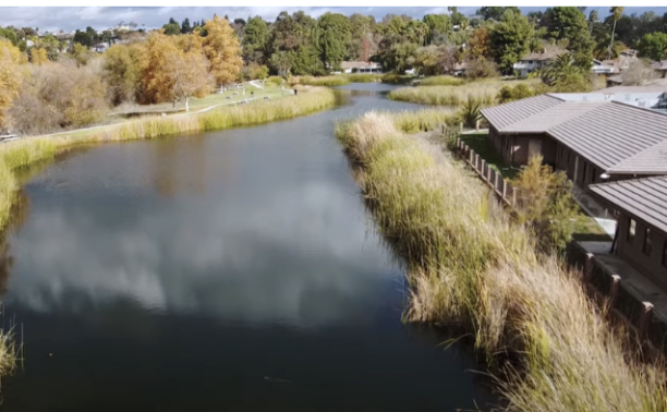 Pond Park