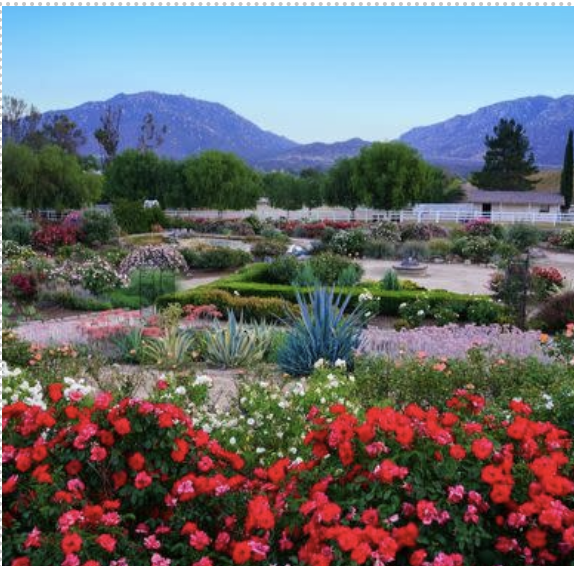 Daily Life in Temecula Ca