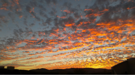 Daily Life in Wildomar Ca