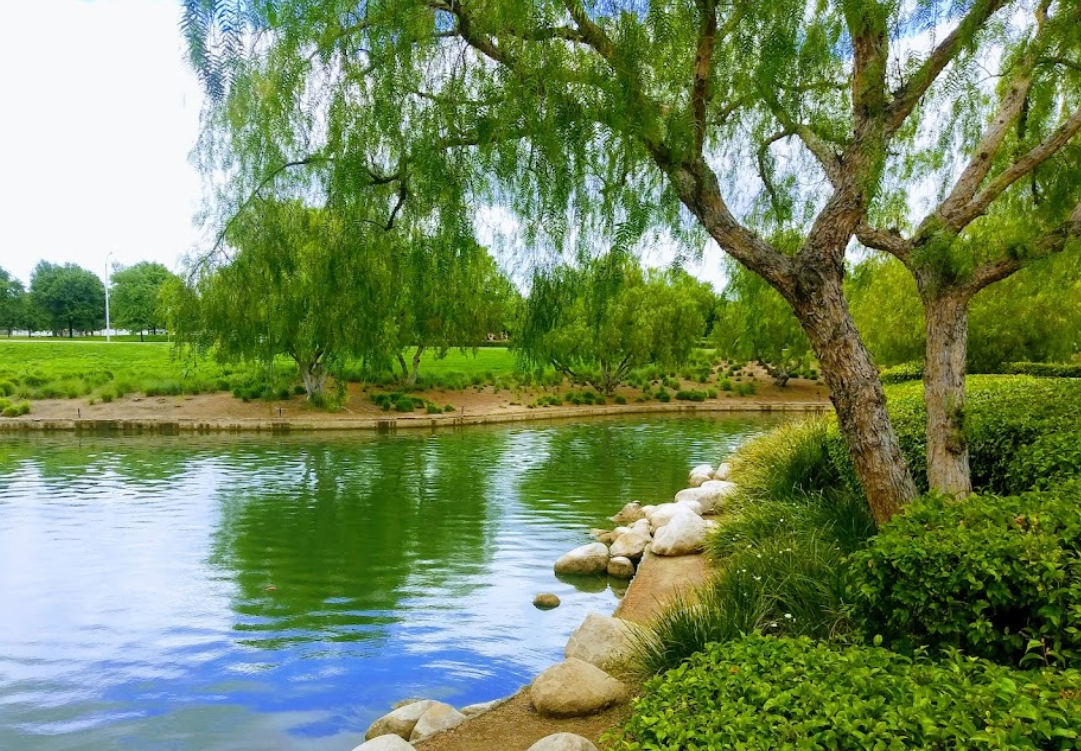 Parks and Recreation In Sun City