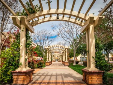 Your Home Selling Pros - David Limon Team
