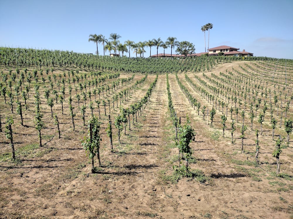 Owning Vineyard Estates in Temecula Valley