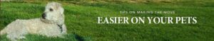 Your Home Selling Pros - David Limon Team